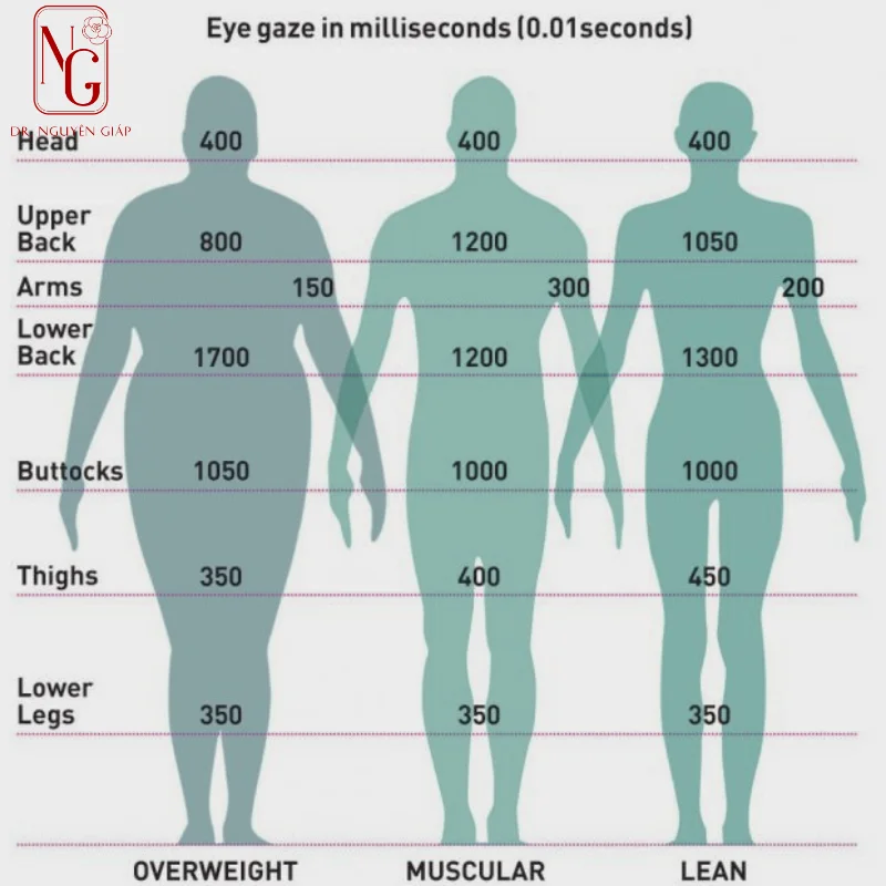 vong eo 70cm voi cac so do tieu chuan theo chieu cao